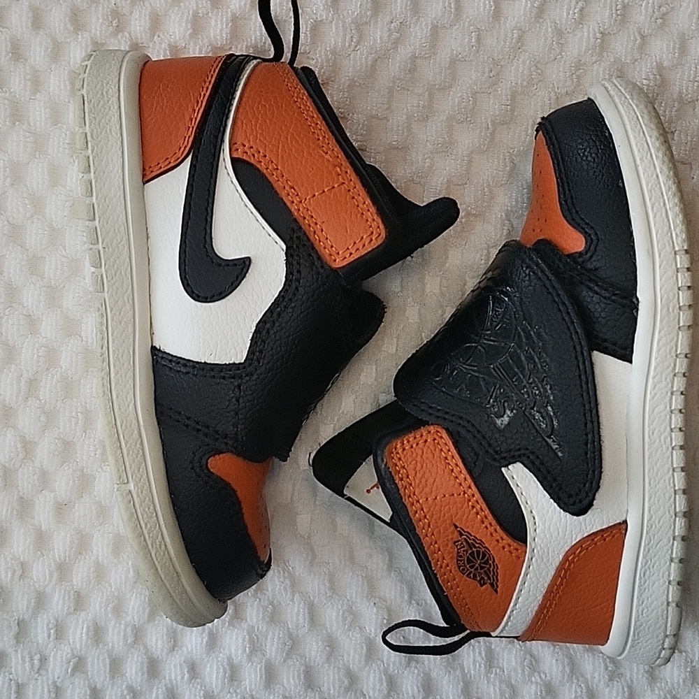 Sky Jordan 1